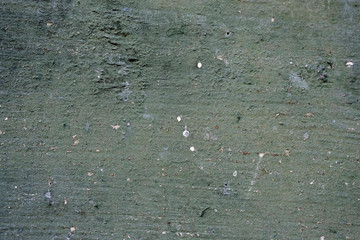 Old peeling paint on a wooden surface. retro wall background.