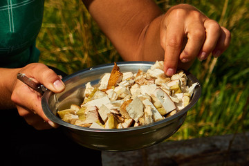 Woman holding a plate of sliced mushrooms in the campsite