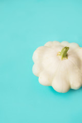 fresh white Pattison on a blue background