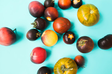 Fototapeta na wymiar fresh colorful tomatoes on a blue background