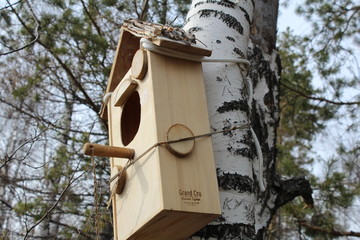 Birdhouse on a tree in the forest