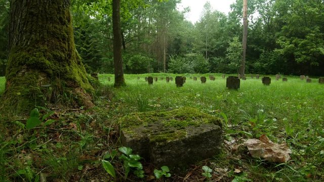 WWI German Soldiers And Victims Cemetery In The Forest. Pan Right