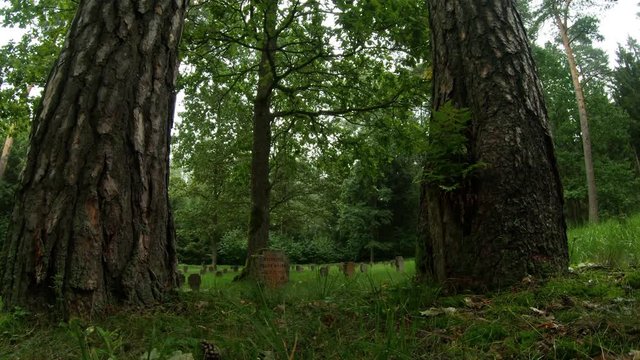 First World War German Soldiers And Victims Cemetery In The Forest. Pan Right