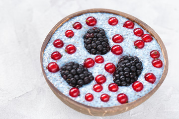 Blue chia seed pudding with blackberries and red currant berries in a bowl