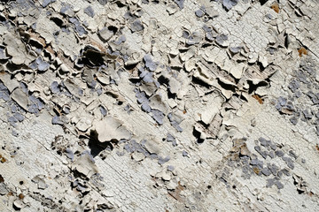 Old peeling paint on a wooden surface. retro wall background.