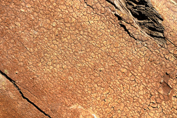 Old peeling paint on a wooden surface. retro wall background.