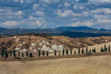 Rolling hills in autumn after harvest.