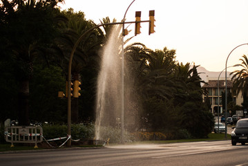 SONY DSC © SimonQbala