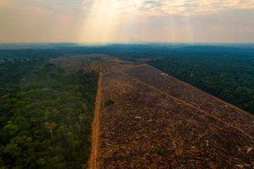 Pasture areas derived from illegal deforestation near the Menkragnoti Indigenous Land. Pará -...