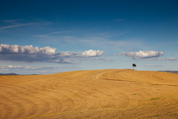 Rolling hills in autumn after harvest.