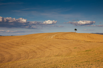 Rolling hills in autumn after harvest.