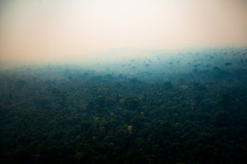 The Amazon rainforest covered by smoke from burning. Fire is used for deforestation and formation of cattle farms. - Pará, Brazil