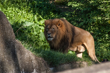 SONY DSC © SimonQbala