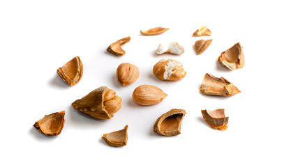 Dry Apricot Kernels and Nutshell Isolated on White Background