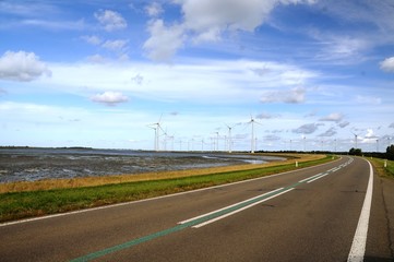 Estuaire de l’Escaut – Parc à éoliennes (Zélande- Pays-Bas)