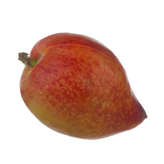 fresh nectarine isolated on white background