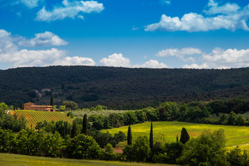 Fototapeta na wymiar House in the landscape of tuscany, Italy