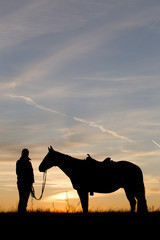 Pferd im Sonnenuntergang Gegenlicht Scherenschnitt