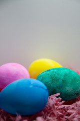 Fototapeta na wymiar Easter Eggs In Easter Grass