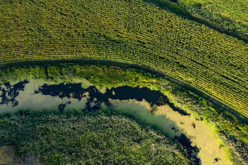 banks of a swampy river, aerial view