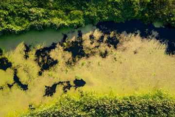 banks of a swampy river, aerial view