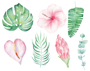 Tropical flowers hand drawn watercolor raster illustration set