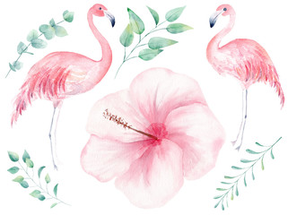 Tropical nature hand drawn watercolor raster illustration set