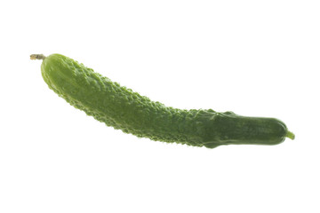 single  fresh cucumber isolated on white background