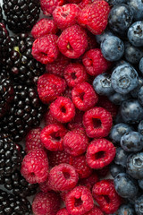 Fresh Summer Berries mix with Raspberry, Red currant, Blueberry and Blackberry on wood background.