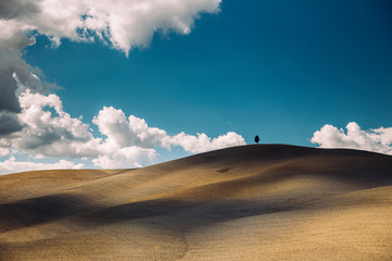 Fototapeta premium Rolling hills in autumn at harvest.