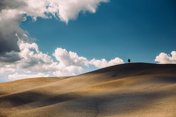 Rolling hills in autumn at harvest.