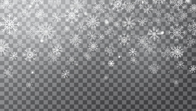 Realistic falling snowflakes isolated on transparent background. Winter background with snow and snowflakes in different shapes. Magic white snowfall texture. Christmas design. Vector illustration