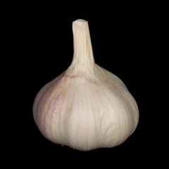 fresh garlic bulb  isolated on black background