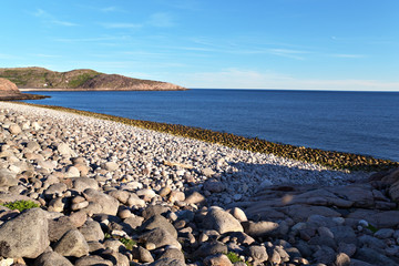 Fototapeta na wymiar The rocky beach on the coast of the Barents Sea in the north of Russia