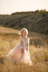 Portrait of a beautiful little princess girl in a pink dress. Posing in a field at sunset