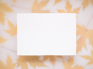 Background with frame of autumn leaves