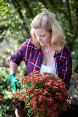 Frau freudig bei der Gartenarbeit mit Blumen, chrysanthemen