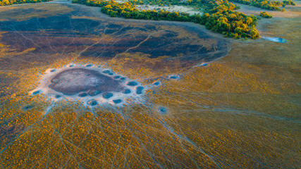 Aerial view of a field of grass covered with animal tracks and a dried-up waterhole at dawn in the...