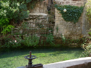 Naturaleza invadiendo pueblo