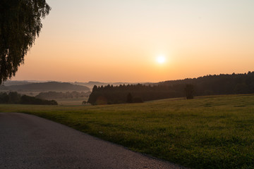 Fototapeta premium Schwarzwald
