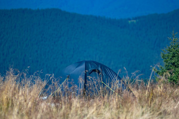 Tent in the meadow in the mountains