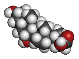 Chenodeoxycholic acid drug molecule. 3D rendering. Atoms are represented as spheres with conventional color coding: hydrogen (white), carbon (grey), oxygen (red).