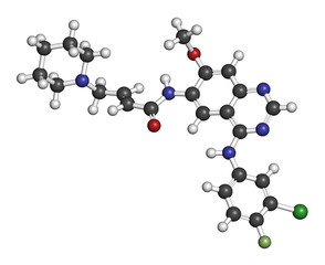 Dacomitinib cancer drug molecule (EGFR inhibitor). 3D rendering. Atoms are represented as spheres with conventional color coding: hydrogen (white), carbon (grey), nitrogen (blue), oxygen (red), etc