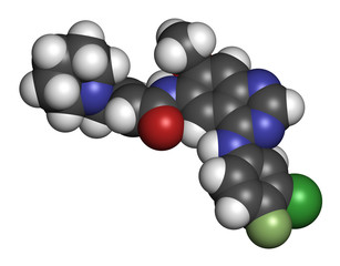 Dacomitinib cancer drug molecule (EGFR inhibitor). 3D rendering. Atoms are represented as spheres with conventional color coding: hydrogen (white), carbon (grey), nitrogen (blue), oxygen (red), etc