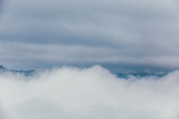 Obraz premium Winter postcard.