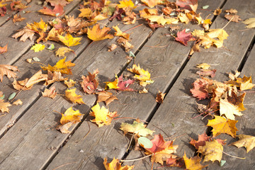 Herbst: Blätter auf Holzbrett