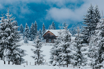 Winter postcard.