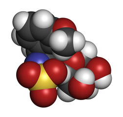 Glucolimnanthin herbal molecule. 3D rendering. Atoms are represented as spheres with conventional color coding: hydrogen (white), carbon (grey), oxygen (red), nitrogen (blue), sulfur (yellow).