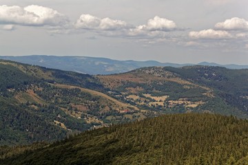 Fototapeta na wymiar Landscape around the Grand Ballon in the Vosges Mountains