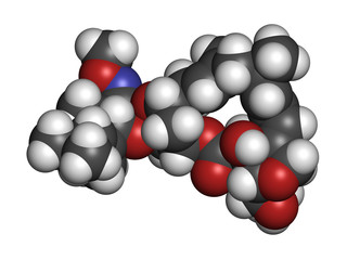 Moxidectin anthelmintic drug molecule. 3D rendering. Atoms are represented as spheres with conventional color coding: hydrogen (white), carbon (grey), nitrogen (blue), oxygen (red).